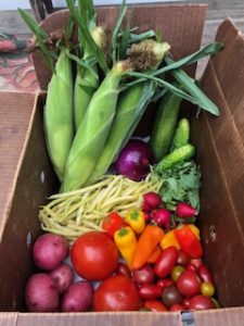 Summer Produce Box